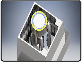 Feasibility Study
